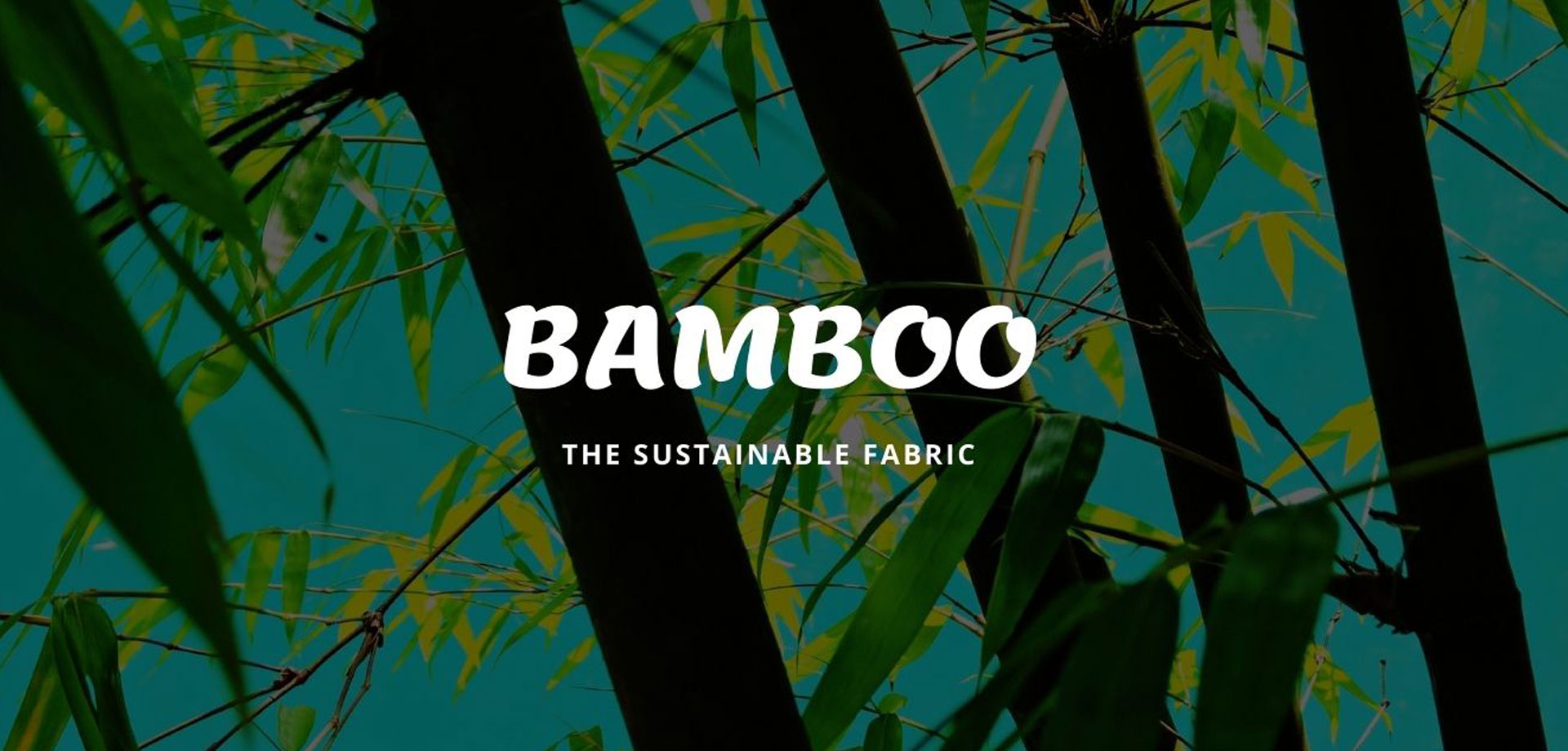 Bamboo Clothing Manufacturer